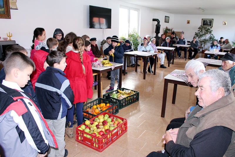 Elevii din Medgidia au ajutat bătrânii și familiile nevoiașe - saptamanafructe-1511875826.jpg