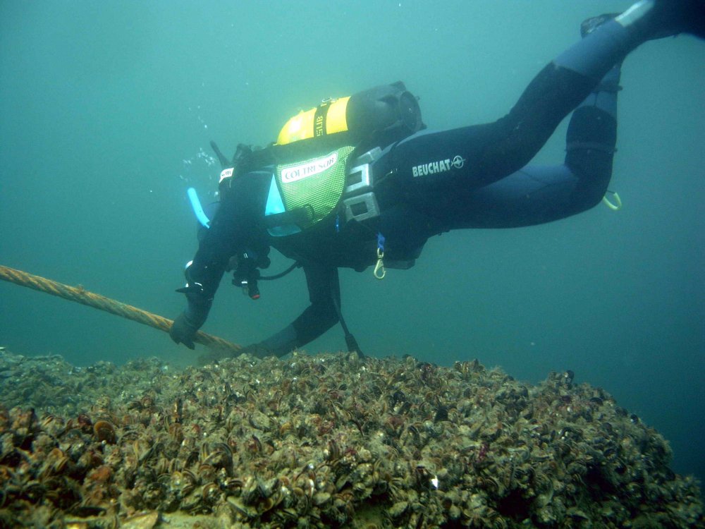 Scufundări gratuite la vestigiile subacvatice din Marea Neagră - scufundari2-1591631228.jpg