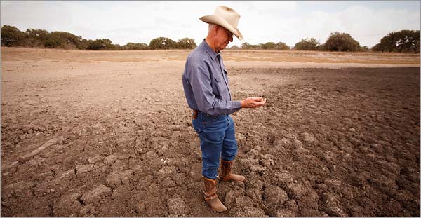 California decretează starea de urgență din cauza secetei - seceta-1390045142.jpg