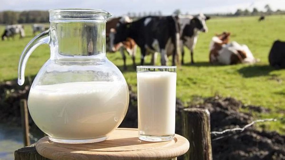 Se înființează Observatorul laptelui și al produselor lactate - seinfiinteazaobservatorullaptelu-1673193983.jpg
