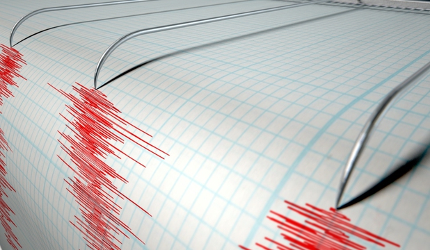 Cutremur de 4,2 grade, în Marea Neagră, la aproximativ 200 de kilometri de Constanța - seismograf-1450177847.jpg