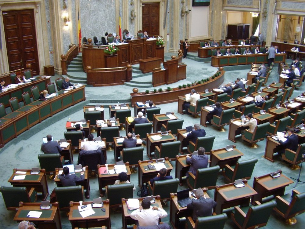 Senat: Persoanele condamnate penal nu pot ocupa demnități publice - senat-1568754328.jpg