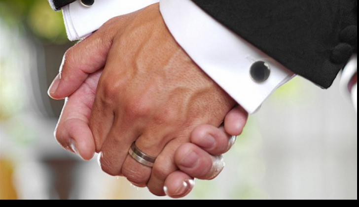 François Hollande a promulgat legea privind căsătoria între persoane de același sex - sex-1368864312.jpg