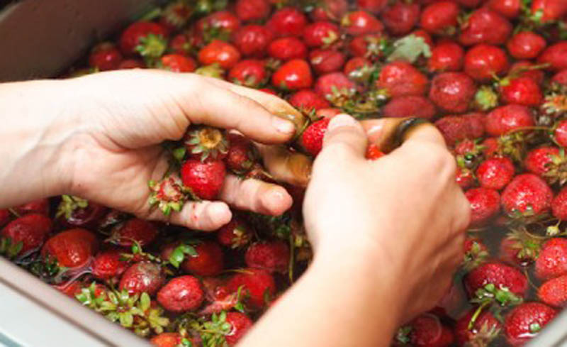 Cum se spală corect căpșunile - sitecumsespalacapsuni-1398881220.jpg