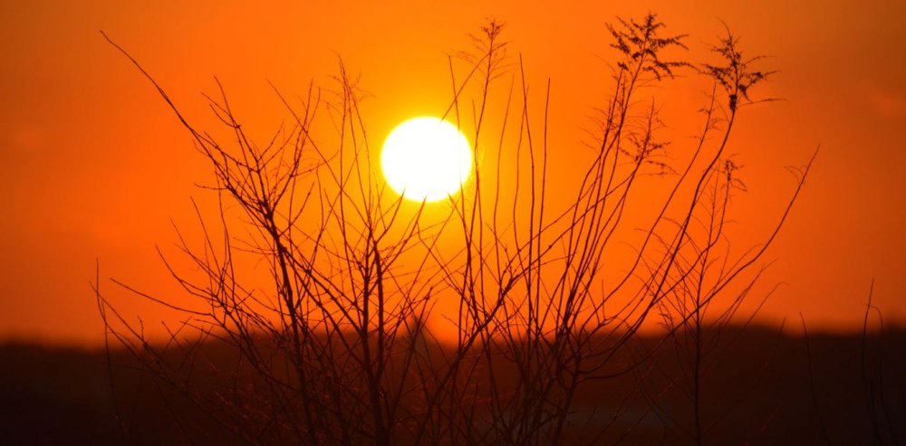 2019 a fost cel mai călduros an din istoria înregistrărilor meteorologice din Europa - soare-1587561369.jpg