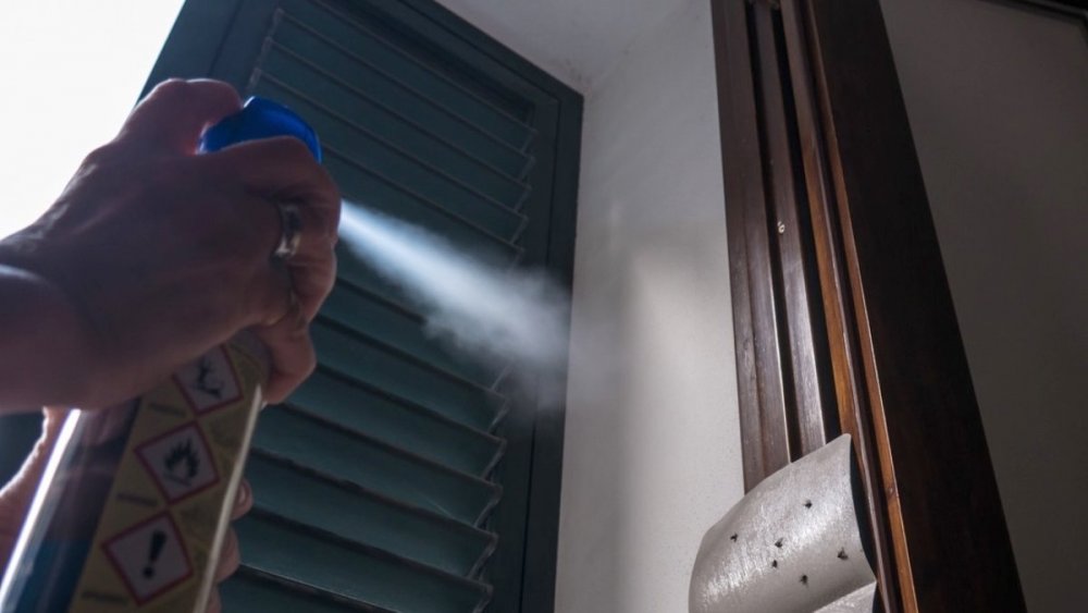 Alertă sanitară! Încă doi soți au MURIT după ce au dat cu spray împotriva insectelor în casă - sotiiasimortisprayinsecte849753-1690824924.jpg