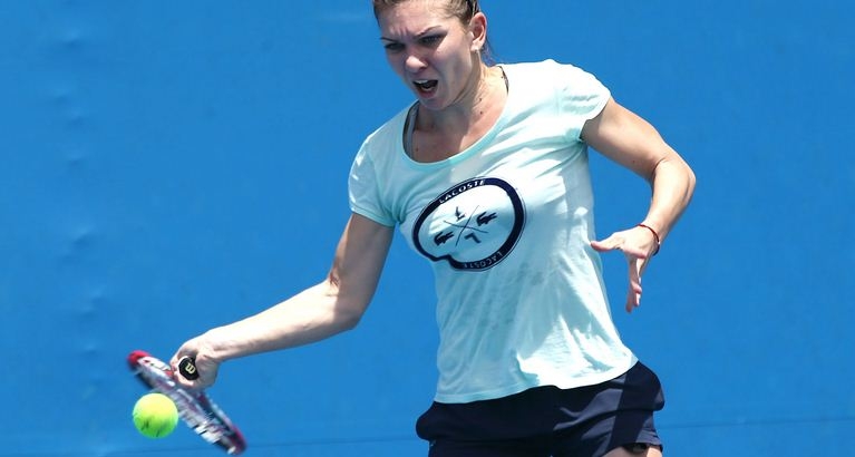 Tenis: Simona Halep, nominalizată la Fed Cup Heart Awards 2014 - sportrecenthalep0403-1393920874.jpg