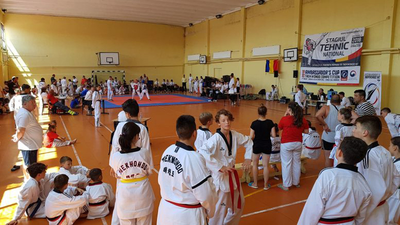 Stagii de pregătire și competiții de Taekwondo, la Eforie Sud - stagii-1533223478.jpg