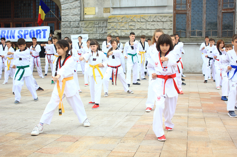 Stagiu tehnic  de Taekwondo, în plină acțiune, la Eforie Sud - stagiutehnic-1470243272.jpg