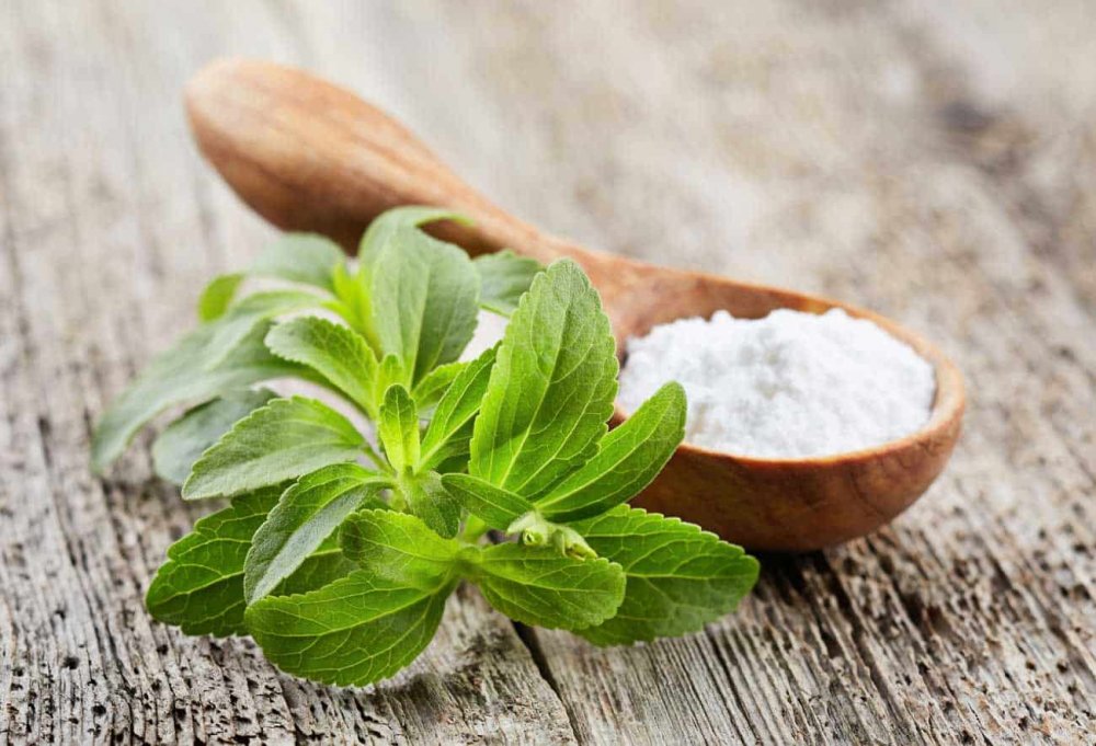 Stevia este un îndulcitor sănătos. Nu ezitați să o folosiți! - stevia-1671547910.jpg