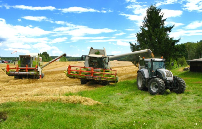 Agricultorii vor primi subvenția maximă: 170 euro la hectar - subventi-1348833952.jpg