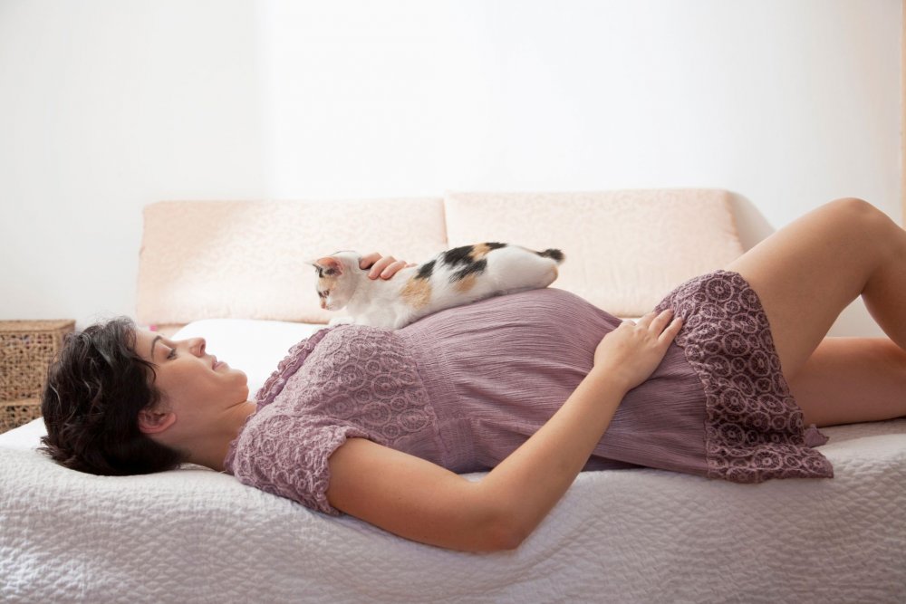 Sunteți însărcinată? Evitați contactul cu pisicile! - suntetiinsarcinata1-1556187937.jpg