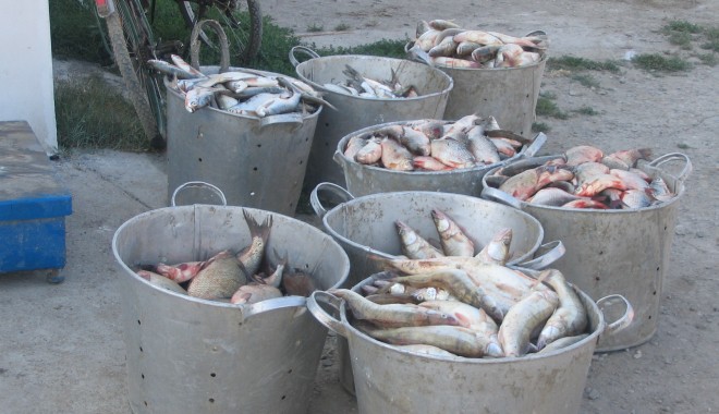 Sute de kilograme de pește și articole de pescuit, confiscate de polițiști - sutedekilogramedepeste-1423130960.jpg