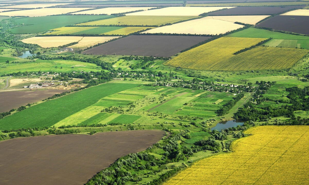 Județul din România unde terenul agricol a ajuns să se vândă cu 30.000 de euro/hectar - terenuriagricole-1706796361.jpg