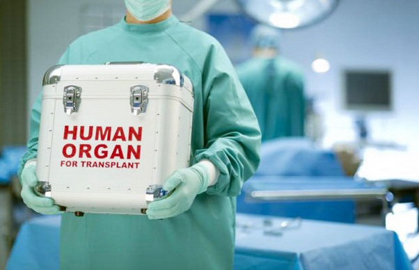 Ministerul Sănătății: noutăți cu privire la activitatea de transplant și transportul organelor - transplantorgane-1477409380.jpg