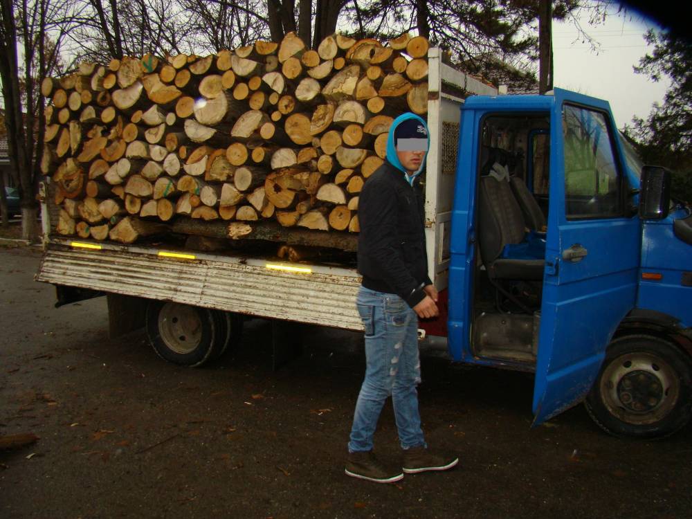 Transport ilegal de lemn, interceptat de polițiștii de frontieră - transportilegaldelemne-1417780939.jpg