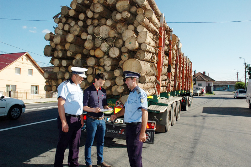 Transporturi  cu lemne  în condiții dubioase. Polițiștii constănțeni  au intrat pe fir - transporturi-1505313978.jpg