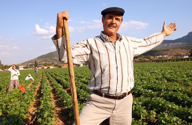 Turcii vor  să investească în agricultura românească - turciivorsainvesteasca-1462551529.jpg