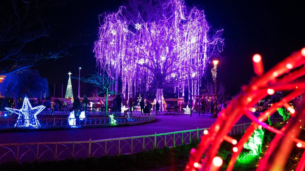 Ultimele spectacole la Festivalul iernii, în parcul Tăbăcărie - ultimelespectacole-1578654657.jpg