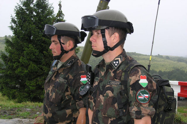 Soldații români pleacă în Ungaria. Iată motivul - ungariapariticpalacoalitiacontra-1441971300.jpg