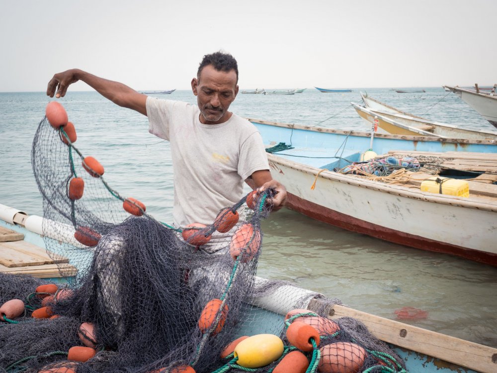 BBC - Un grup de pescari din Yemen a descoperit ambrÄƒ gri Ã®n stomacul unui caÅŸalot - ungrupdepescari-1622565730.jpg