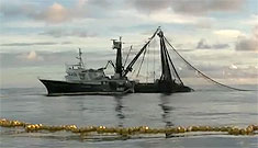Un pescador rusesc s-a încurcat în plasele de pescuit - unpescador-1451987085.jpg