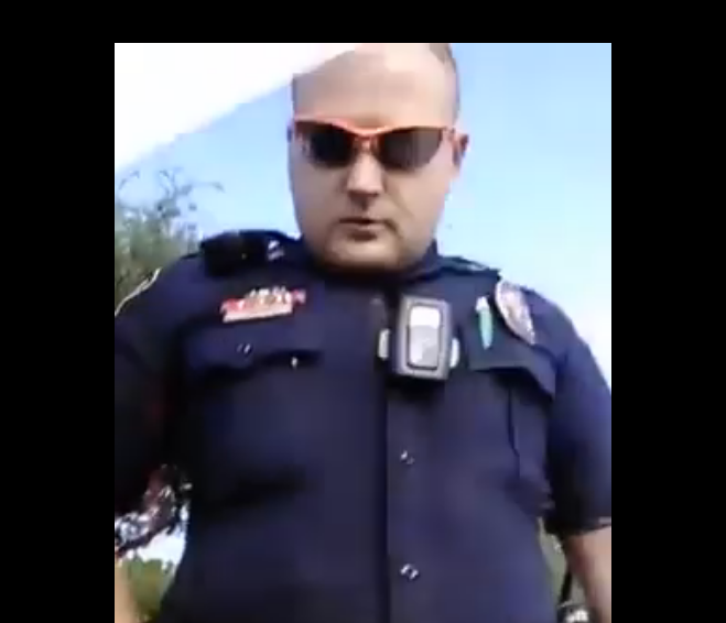 VIDEO / Ce s-ar fi întâmplat în România dacă un polițist rutier ar fi spart geamul unei mașini? - untitled-1473059480.jpg