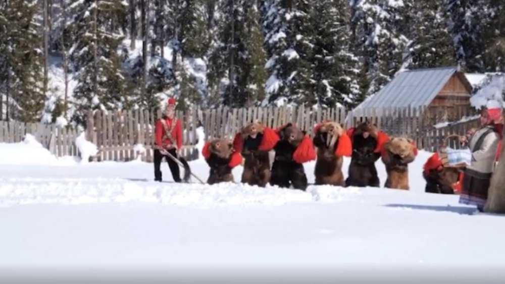 VIDEO: Spectacole tradiționale. Cetele de urși colindă satele și orașele - urs-1640435970.jpg
