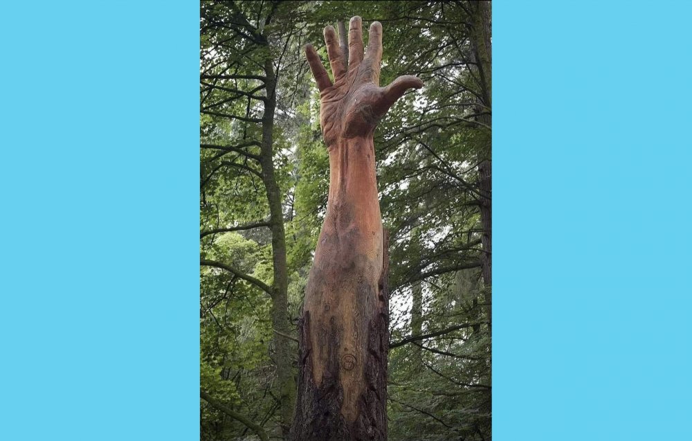USR-PLUS Constanţa şi studenţii de la Facultatea de Arte dau o nouă viaţă arborilor uscaţi - usrcopaci2-1640800723.jpg