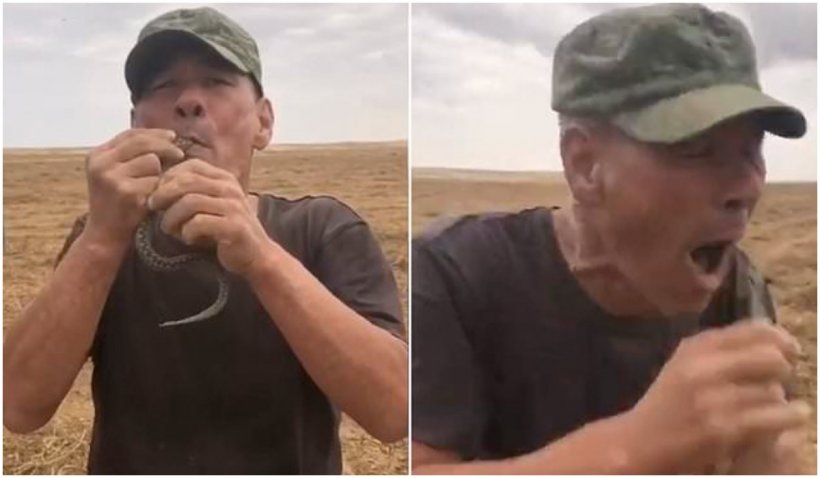 Un bărbat din Rusia a murit după ce și-a băgat o viperă în gură și aceasta l-a mușcat de limbă - vipera-1632501489.jpg