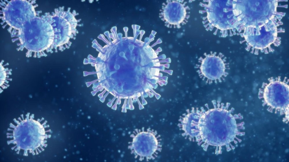 Danemarca a depistat primul caz de infectare cu noua tulpină de coronavirus din Africa de Sud - virus-1610871914.jpg