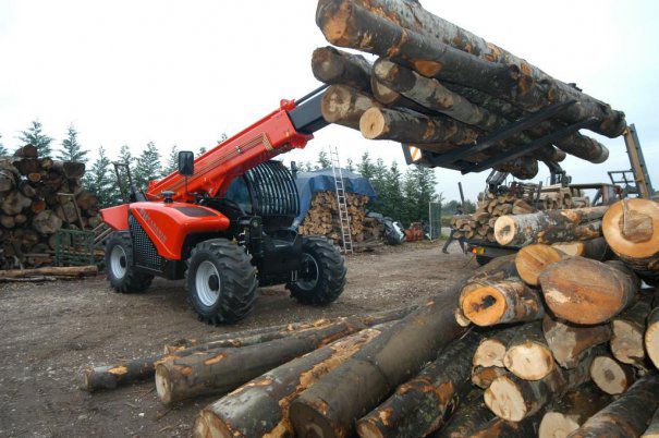 Volumul de lemn exploatat s-a redus cu 0,8% în 2016 - volumuldelemnexploatat110-1506855638.jpg