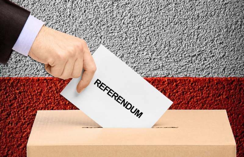 Referendum 2019. Președintele cheamă la consultări reprezentanții societății civile - vot-1553252956.jpg