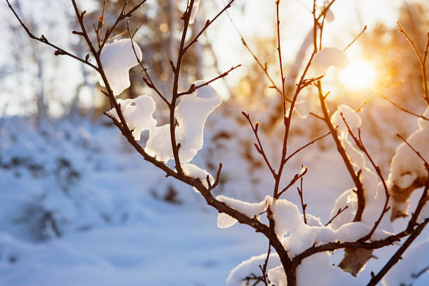 Vremea devine normală pentru mijlocul iernii, în ianuarie. Prognoza meteo pentru următoarele patru săptămâni - vreme-1703575940.jpg