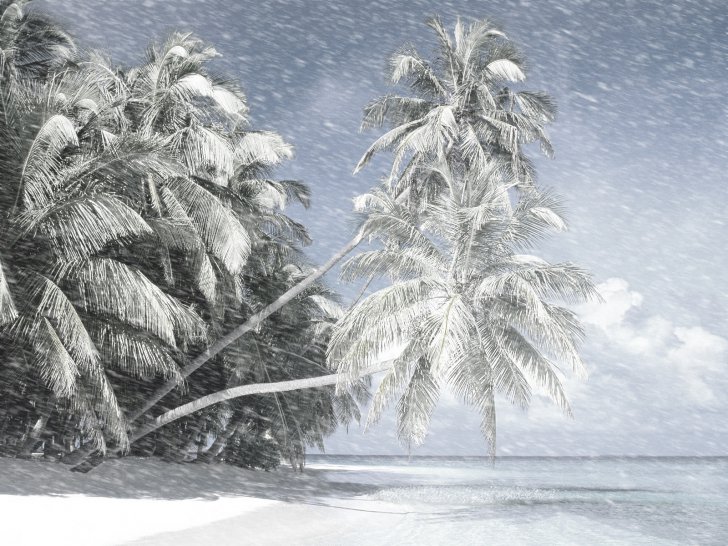 Iarnă în paradis! Stratul de zăpadă a depășit 90 de centimetri în Hawaii - winterparadisebytheproffesional3-1480857510.jpg