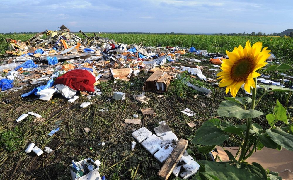 Primul raport după doborârea zborului MH17 în Ucraina: Avionul, lovit de mai multe proiectile - wreckageofmh17inasunflowerfieldd-1410252277.jpg