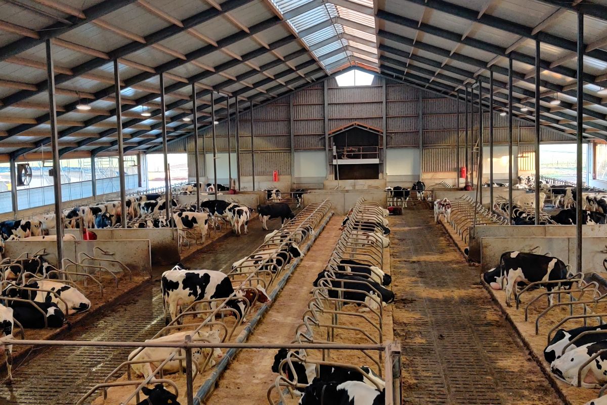 Biosecuritatea în fermele de animale, în atenţia specialiştilor - x-animale-1709730235.jpg