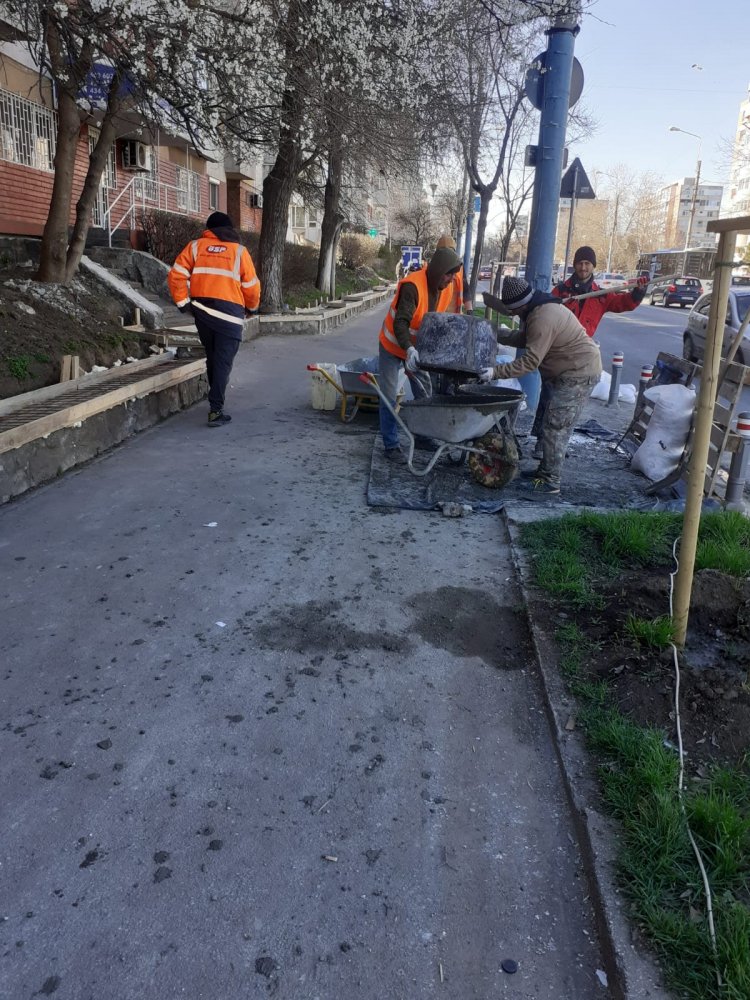 Se reabilitează jardinierele din municipiul Constanța - x-jardiniere-5-1678977590.jpeg
