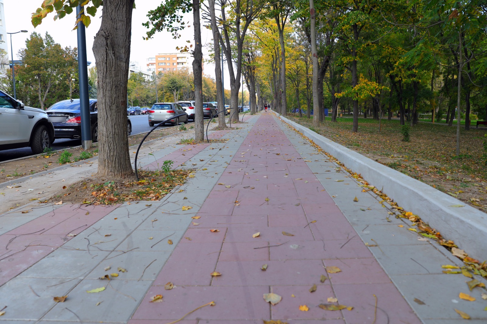 Încep lucrările de asfaltare a pistelor de biciclete de pe bulevardul Alexandru Lăpușneanu - x-piste-1696415912.jpeg