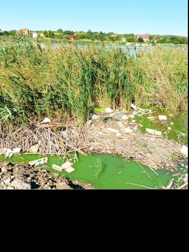 Deşeuri îngropate în Lacul Techirghiol. Garda de Mediu a depus o  sesizare penală - xsesizarijpg233-1663848059.jpg