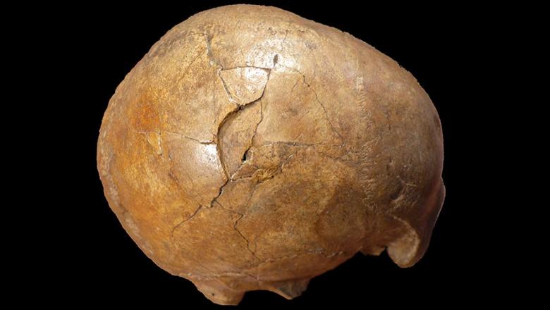Misterul unei crime de acum 33.000 de ani ani a fost elucidat - yjezztfloge5nziwzwuyzmy4njewmmfl-1562317942.jpg