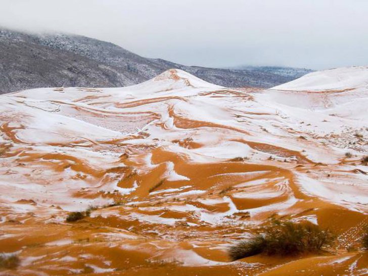 Imagini ireale: A nins în deșertul Sahara! - zapadainsahara136460700-1515492553.jpg